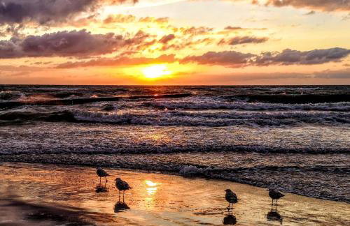 Villa Watamu - Foto 8