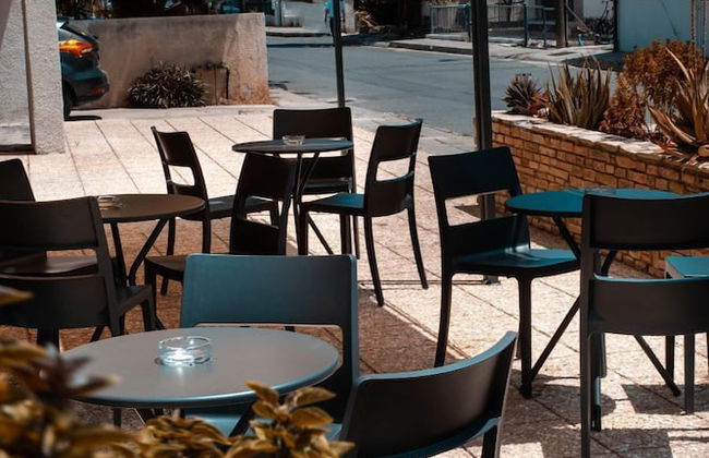 Olive Island - Foto 37