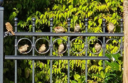 Exklusive Ferienwohnung Bad Salzschlirf - direkt am Waldrand - großer Garten kompett umzäunt - Hunde willkommen - 2 private Stellplätze - Foto 53