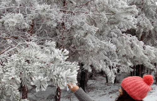 Miradouro da Branda - Foto 28