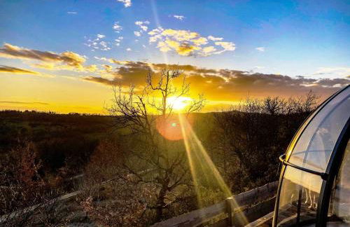 La Borieta - Foto 12