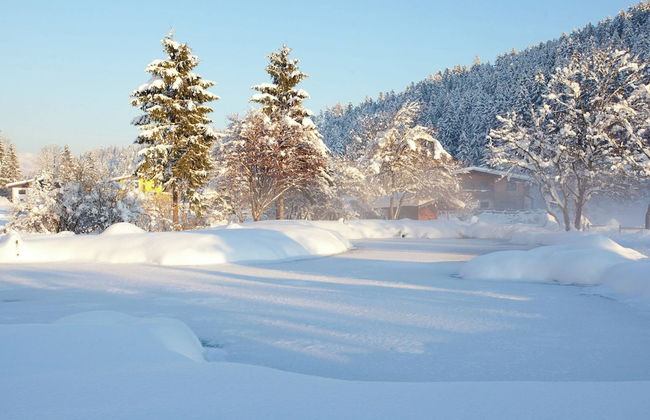 Chalet in Angerberg Near Skiwelt Slopes - Foto 23