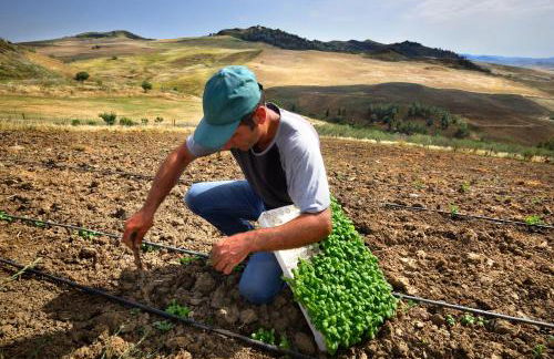 Agriturismo Villa Dafne - Foto 122