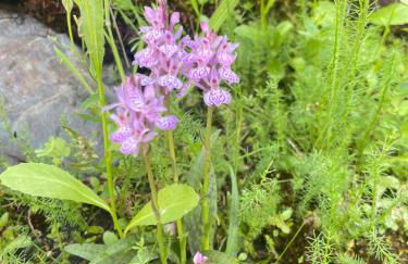 Apartamento Marcajada - Foto 43