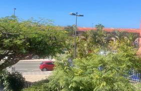 Meloneras ideal - Foto 34