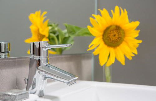 Monte das Texugueiras - Foto 73