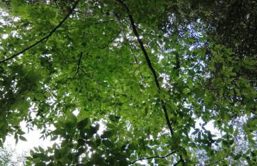 TRE METR SOPRA IL CIELO ''AcquAria'' - Foto 57