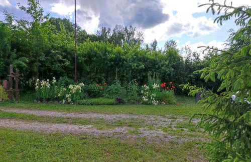 Brzozowy Chillout - Foto 40