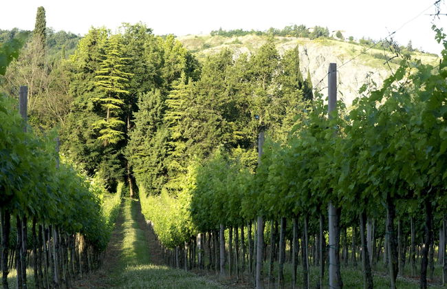 Casa Fluò Relais - Foto 30