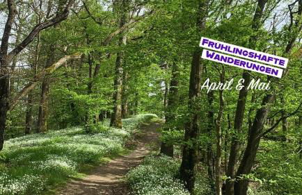 Haus Alleegarten - Foto 3