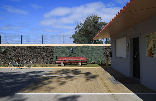 Parrots Village - Foto 35