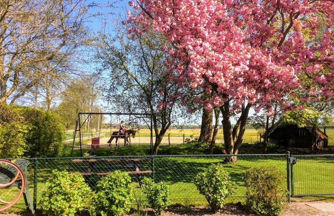 Holiday Home in Donkerbroek Near Forest Trails - Foto 35