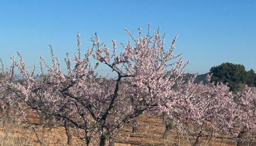 Casa Miranda - Foto 3