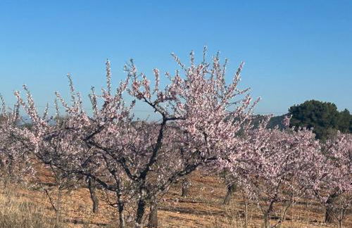 Casa Miranda - Foto 3