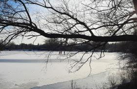 Ferienwohnung Brunnenstrasse - Foto 22