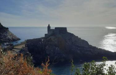 La Terrazza sul Golfo dei Poeti con vista mare - Foto 62