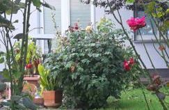 Ferienwohnung Relax - Foto 14