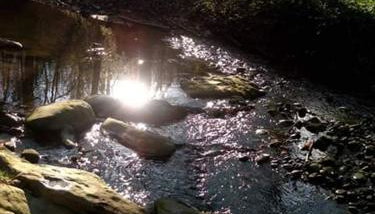 Kuća za odmor"Miran san" - Foto 2