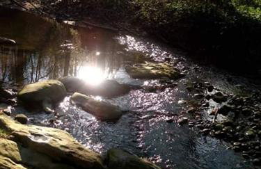 Kuća za odmor"Miran san" - Foto 2