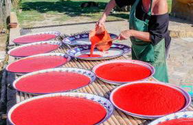 Tenuta Bartoli - Foto 26