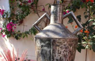 Finca Doña Sofia Maria - Foto 11