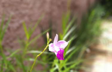 Casa Rústica Recanto do Sol - Foto 7