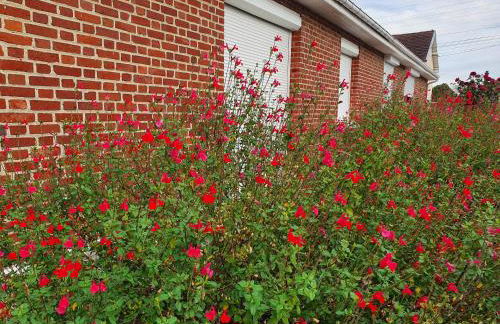Maison confortable, terrasse et jardin à Amiens - Foto 39