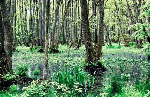 ''Zur alten Boddenfischerei'' Ferienwohnung Weitblick - Foto 16