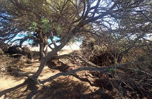 El Calon, mar y montaña - Foto 35