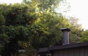 Comfy Home with Game Room & Back Yard - Kid Friendly - Foto 42