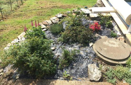 Sécadou Castanial - Foto 11