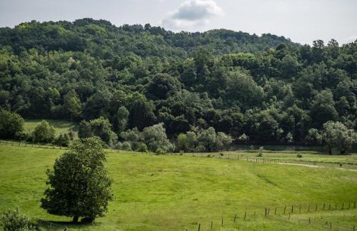 Riverside house with pool jacuzzi and sauna in Croatia - Foto 22