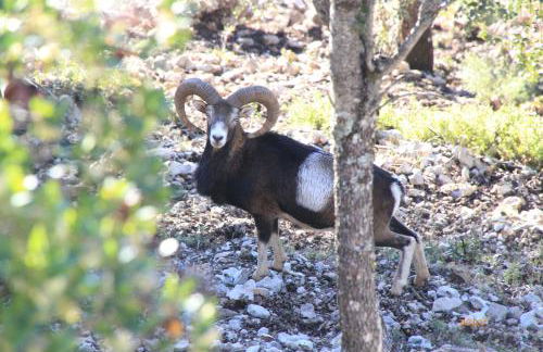 Alojamiento aguasblanquillas - Foto 30