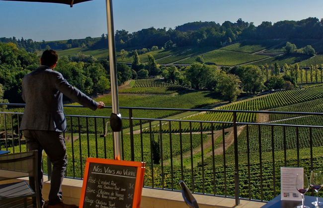 Visite de caves à vin Saint-Émilion - Photo 1