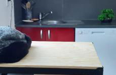 Gîte Au clair de lune - Foto 9