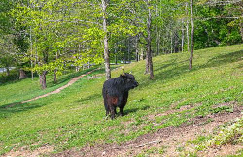 On Farm Charming Hendersonville Retreat! - Foto 26