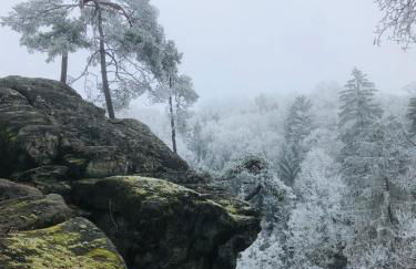 Apartment mit Blick ins Grüne - Foto 32