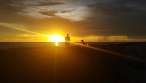 Paradise in the Sun - Foto 5