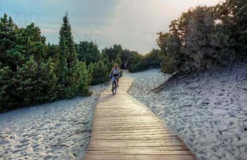 Il Fenicottero - Foto 28