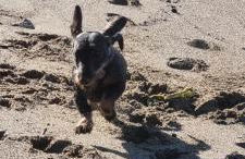 La casina di Adina - Foto 9