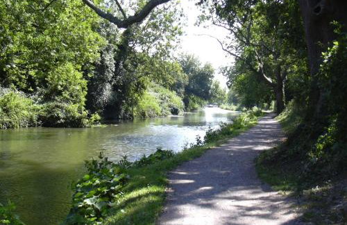 Open Plan Dog Friendly Annexe Sleeping 2 I Near Local Beaches & Chichester with FREE Parking - Foto 40