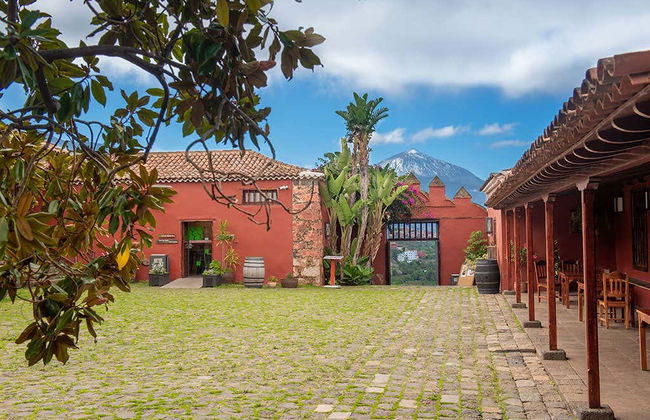 Degustación en la Casa del Vino - Foto 3