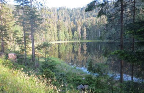 Holiday Home Tauchert - Foto 47