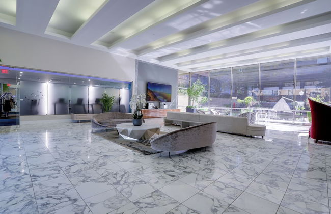 Crystal City Apt for Business Travelers - Photo 3