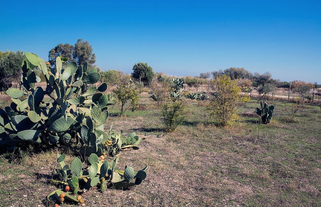 House of Paradise in front of the golf court-sea - Foto 28