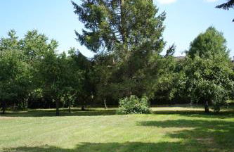 TREE LODGY - Linae - Foto 13