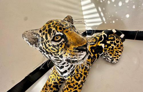 Casa Parque nacional Serra da capivara - Foto 20