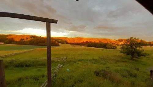 Zum Gänseglück - Foto 2