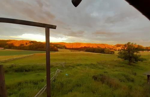 Zum Gänseglück - Foto 2