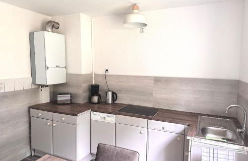 Ellis-Ferienwohnung-Erzgebirge - Foto 6